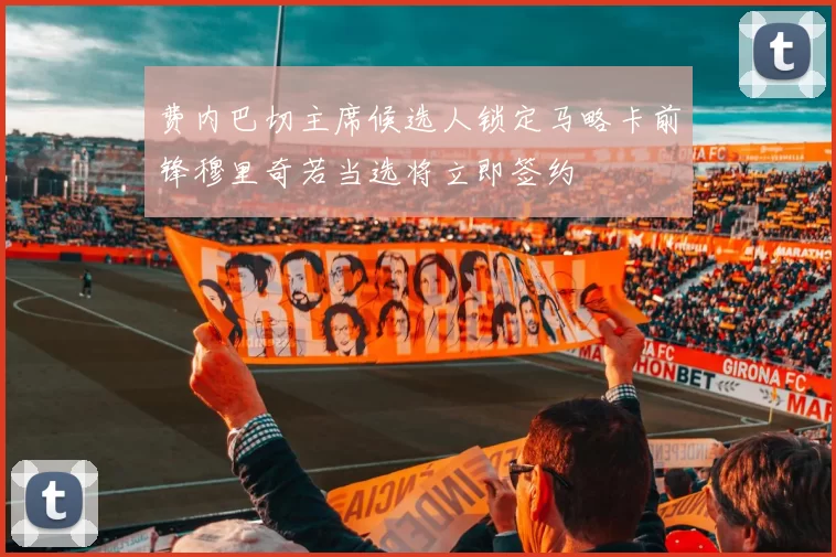 费内巴切主席候选人锁定马略卡前锋穆里奇若当选将立即签约