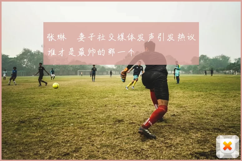 张琳芃妻子社交媒体发声引发热议谁才是最帅的那一个